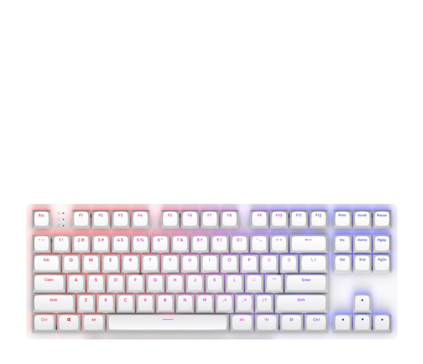 DARK PROJECT DPO87 White TKL G3MS Sapphire Hot-Swap DPP87_GSH_WHITE_ANSI_ENG - 1279858 - zdjęcie 2
